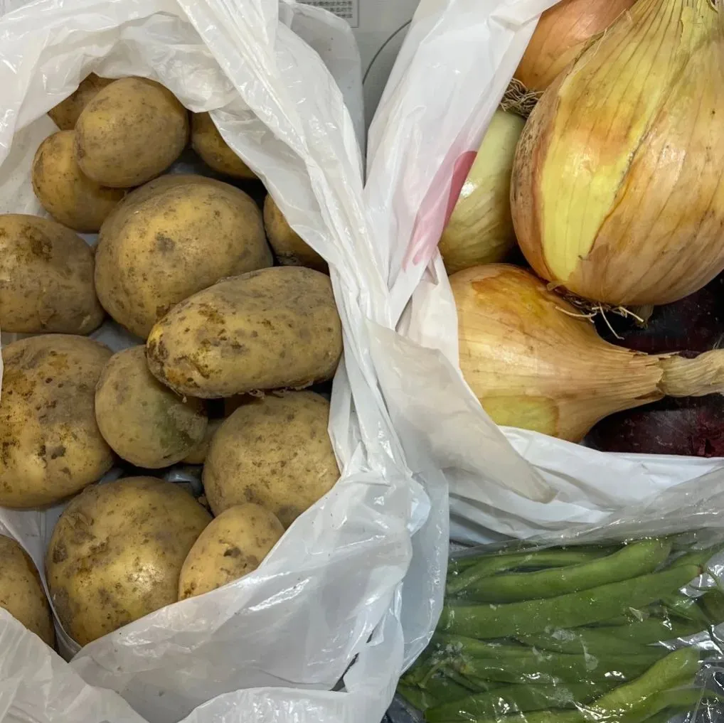 🫛採れたて野菜🧅