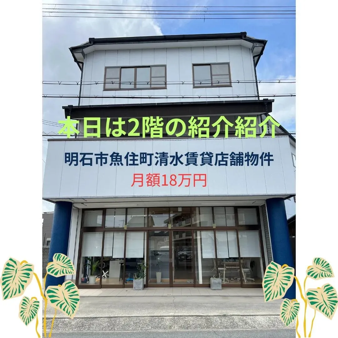 🏠賃貸物件案内🏠