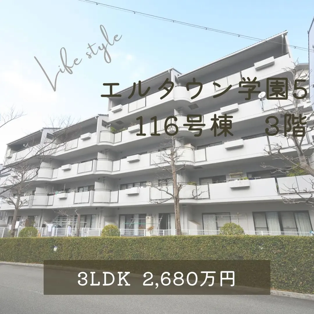 ネクストホームからの物件紹介です😊