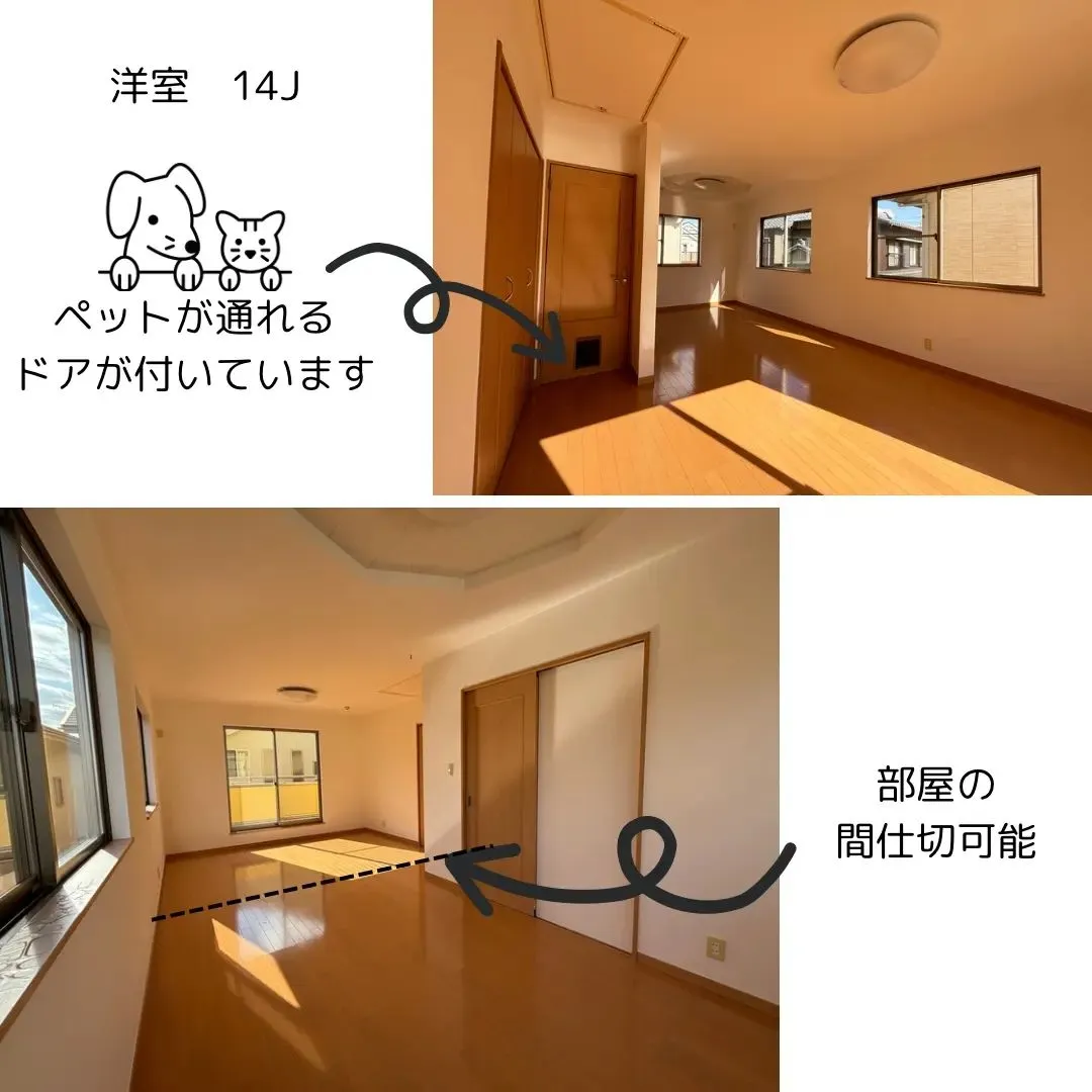 ネクストホームからの物件紹介です😊