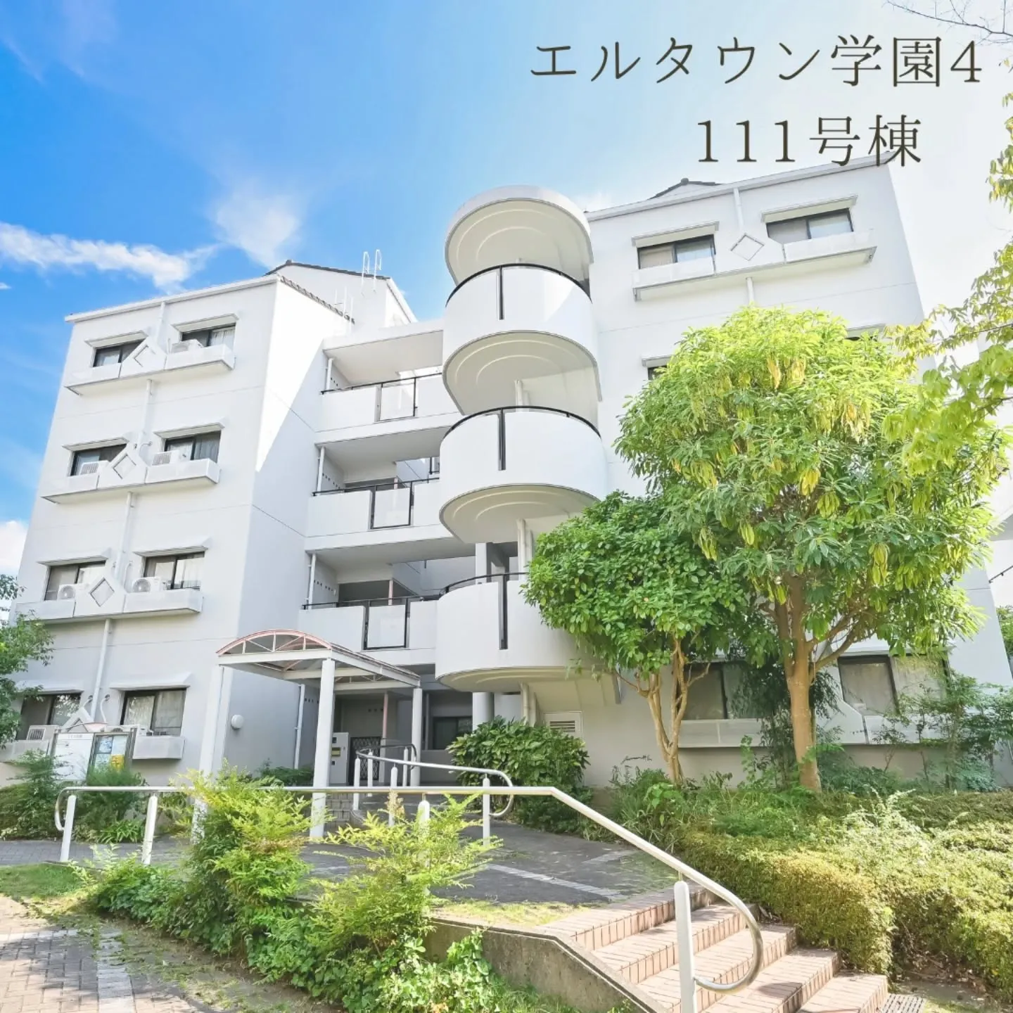 NextHomeからの物件紹介です😊