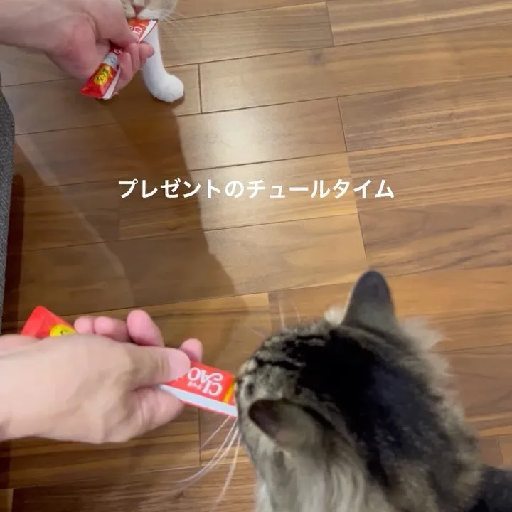 🎁プレゼント🎁